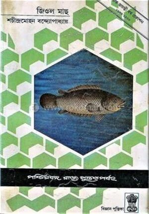 জিওল মাছ