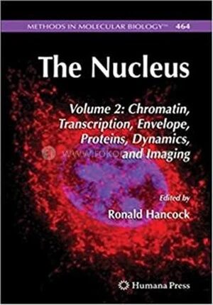 The Nucleus