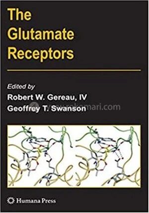 The Glutamate Receptors