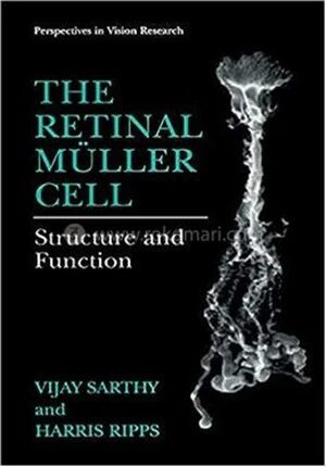 The Retinal Muller Cell