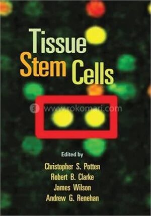 Tissue Stem Cells