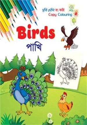 পাখি