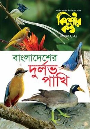 কিশোরকণ্ঠ নভেম্বর ২০২৪