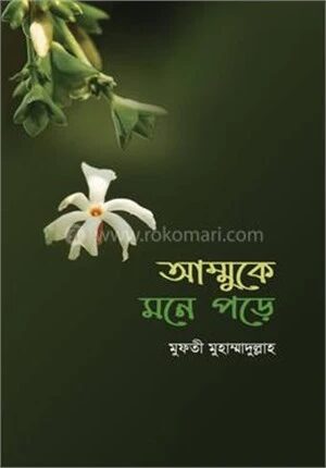 আম্মুকে মনে পড়ে